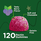Zinc for Kids Gummies, 25mg - Immune Support for Kids & Teens - Powerful Natural Antioxidant, Kids Zinc Vitamin Supplement - Vegan, Gelatin Free, Gluten Free - Tasty Chewable Berry Flavor Gummy