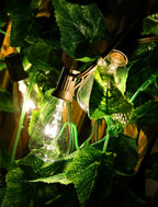 ST38 Replacement Bulbs 10-Pack - 7W E12 Candelabra Base Clear Glass Light Bulbs, Vintage Incandescent for Outdoor String Lights, Patio, Garden Decor