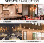 Hudson Vintage Incandescent Edison Decorative Light Bulbs 4-Pack - 60W, 2100K Dimmable, E26/E27 ST64 Warm Antique Squirrel Filament Amber for Indoor Outdoor - Lightbulb - Outdoor Light