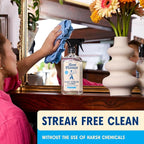 Aunt Fannie's Glass & Window Cleaning Vinegar Spray, Natural Streak-Free Spray 16.9 Ounces (Pack of 3)