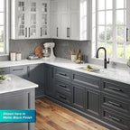 KRAUS Allyn Industrial Pull-Down Single Handle Kitchen Faucet in Spot-Free Black Stainless Steel, KPF-4102SFSB