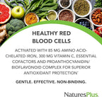 NaturesPlus Hema-Plex Iron - 60 Fast-Acting Softgels - 85 mg Iron + Vitamin C & Bioflavonoids for Healthy Red Blood Cells - Vegan, Gluten Free - 20 Servings