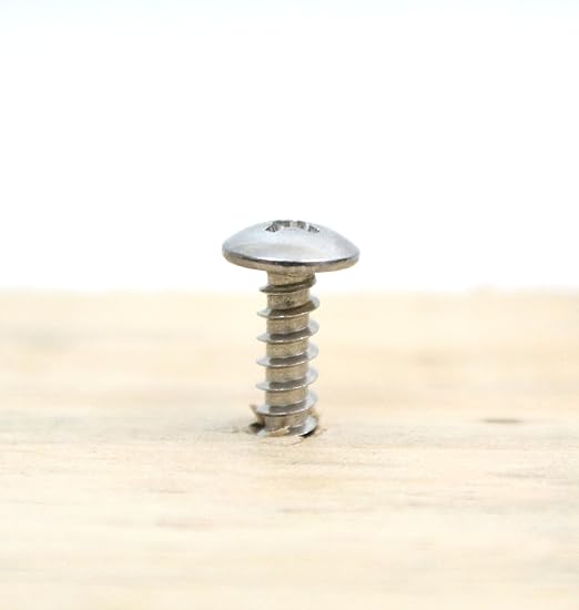 #4 X 1/2" Stainless Truss Head Phillips Wood Screw (100pc) 18-8 (304) Stainless Steel Screws by Bolt Dropper, ssd Screws