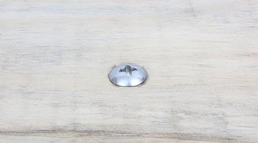 #10 x 3/4" Stainless Truss Head Phillips Wood Screw (100pc) 18-8 (304) Stainless Steel Screws by Bolt Dropper