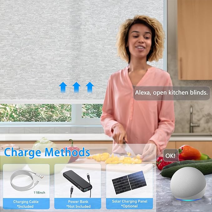 Motorized Blinds with Remote Cordless Automatic Motorized Shades Custom Blinds for Windows Smart Curtains Compatible with Alexa Google Home(Light Filtering Jacquard Grey,W54 x H72in)