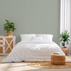 Rust-Oleum Color Spark Interior Paint and Primer in One, Matte, Thyme Flies, 1 Gallon