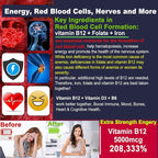 Iron Gummies 18mg+Vitamin B12 5000 mcg for Adults Kids - 4 Months Supply - 98% Purity Carbonyl Iron Supplement for Women Men, w/Folate,D3,B6 for Iron Deficiency&Anemia, Red Blood Cell Formation,Energy