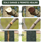 Tree Wound Sealer & Dressing, 500g Tree Pruning Sealer for Cut, Damaged Bark, Grafting – Effective Tree Repair Sealant for Shrub, Bonsai, Rose, Orchard | Horticulture Grade Seal Formula