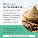 Youtheory Ashwagandha + GABA - 1,000 mg Ashwagandha & 100 mg GABA - Cortisol, Stress & Memory Support Supplement - 60 Vegetarian Capsules