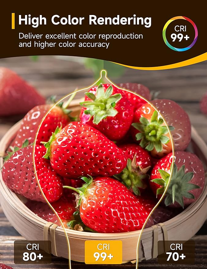 UNILAMP Edison Bulbs 40 Watt, Vintage Light Bulbs, A19 Antique Incandescent Light Bulbs, E26 Dimmable Decorative Light Bulb, Warm White 2700K, 110-130V, 4 Pack