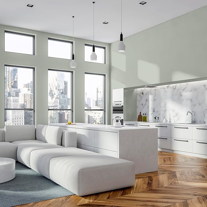 Rust-Oleum Color Spark Interior Paint and Primer in One, Matte, Thyme Flies, 1 Gallon