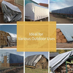 GUARD SHIELD Heavy Duty Tarp 6x8 Feet Silver Multi Purpose Thick Waterproof Poly Tarp Cover 10mil