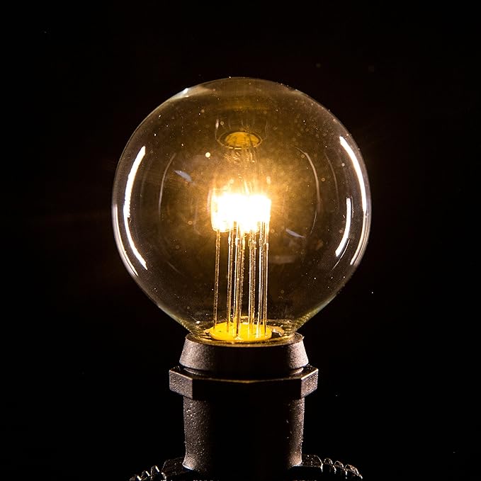 Hometown Evolution, Inc. 25 Foot C9 Commercial LED G50 Globe String Lights with 20 LED G50 Clear 2 Inch .6 Watt Bulbs and White Wire