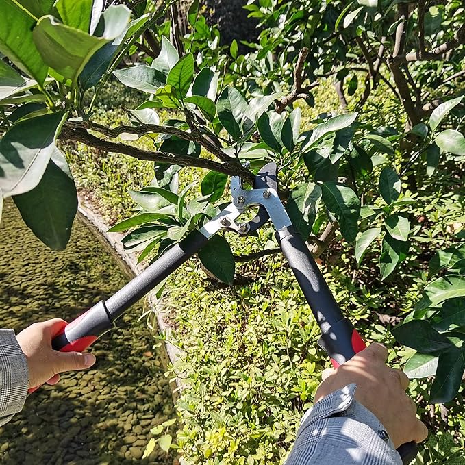Lopper Heavy Duty Branch Cutter Tree Clippers with Compound Action, Chops Thick Branch Ease, Garden Loppers Pruning, 18 Inch Tree Trimmer with 1.6” Clean Cut Capacity (18 Inch)
