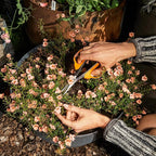 Fiskars Comfort Loop Pruning Snips, Garden Gifts for Women, Extra Large SoftGrip Handle, Yard and Garden Tools 7", Orange/Black