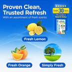 Compac Home Plink Garbage Disposal Cleaner and Deodorizer 60ct VALUE PACK - Assorted Scents