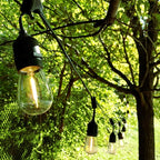 Hometown Evolution, Inc. 100 Foot E26 LED Outdoor Commercial String Lights with 50 Suspended Sockets and S14 LED Filament 1 Watt Bulbs