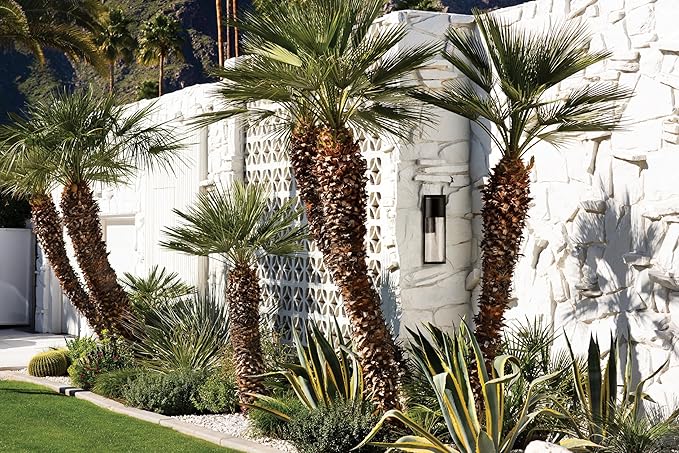 Hinkley Shelter Medium Outdoor LED Wall Mount Lantern - Minimalist Style, Dark Sky-Compliant, Solid Aluminum/Clear Seedy Glass - Hematite