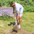 Berry&Bird Shovels for Digging, 43’’ Round Spade Heavy Duty Shovel with Wooden D Handle Stainless Steel Snow Shovel Garden Shovel Yard for Transplanting & Outdoor