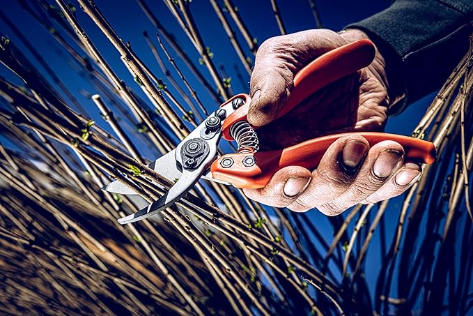 Original LÖWE Profi Bypass Pruner Garden Tools 11.107 | Light & Sharp Tree Pruner | Use As Garden Shears, Handheld, Pruning Shears for Gardening | For flowers, twigs & fruit trees | Made in Germany
