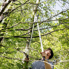 Spear & Jackson 8290RS Razorsharp Heavy Duty Telescopic Ratchet Anvil Loppers, Multicoloured