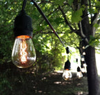 Hometown Evolution, Inc. E26 Outdoor Commercial String Lights with Suspended Socket for Weatherproof Heavy Duty Vintage Outside Lighting (S14 Zig Zag Edison 11 Watt Bulbs, 24 Foot 12 Socket)