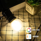 Frosted G16.5 Led Bulb, Matt Vanity Globe Light Bulbs, E26 Dimmable Globe Small Round Edison Light Bulbs, 6w 4000k Vintage LED Filament Edison Bulb