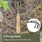 Classic 3-Piece Garden Tool Set - Durable Stainless Steel with Wood Handles. Trowel, Rake & Transplanter for Easy Digging, Weeding & Planting - by Truly Garden