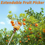 Fruit Picker Pole with Basket Telescoping 5-30 ft Apple Picker Extension Pole // Telescopic Fruit Tree Picker Tool for Picking Orange Mango Avocado Lemon Pear // The Ultimate High-Reach Fruit Grabber