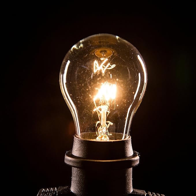 Hometown Evolution, Inc. E26 Commercial String Lights with 16 Gauge Wire (24 Foot 12 Socket, A15 15 Watt Clear Bulb)