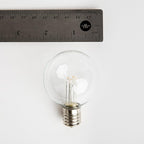 Hometown Evolution, Inc. 100 Foot C9 Commercial LED G50 Globe String Lights with 80 LED G50 Clear 2 Inch .6 Watt Bulbs and White Wire