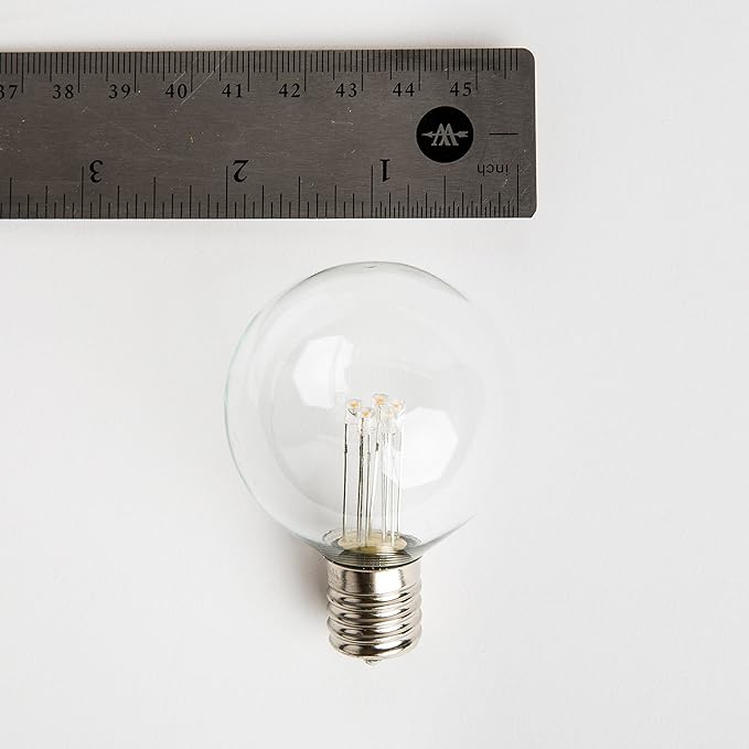 Hometown Evolution, Inc. 25 Foot C9 Commercial LED G50 Globe String Lights with 20 LED G50 Clear 2 Inch .6 Watt Bulbs and Black Wire