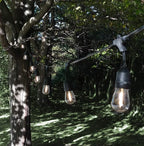 Hometown Evolution, Inc. 24 Foot E26 LED Outdoor Commercial String Lights with 12 Suspended Sockets and S14 LED Filament 1 Watt Bulbs