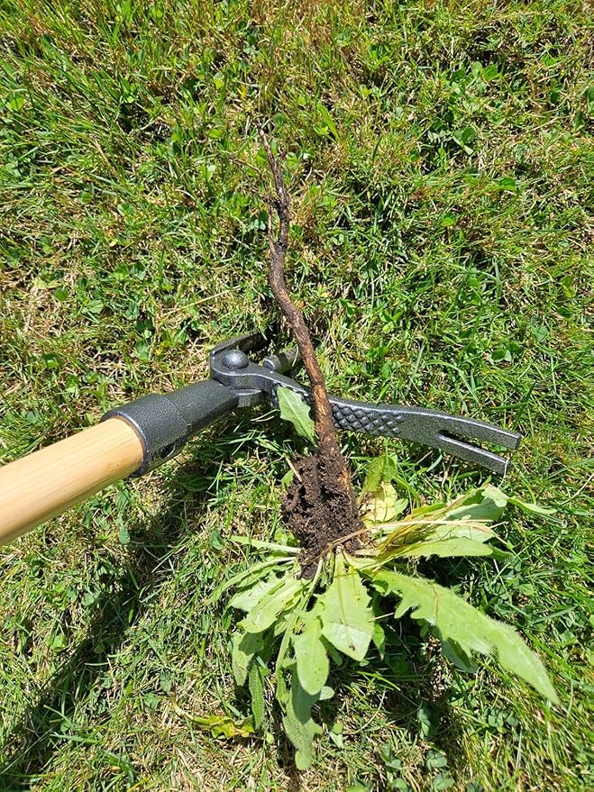Edward Tools PullPro Long Handle Weed Puller Tool - 48" Classic Heavy Duty Hardwood Handle with 4 Claws Steel Head - Improved Stand Up Weed Remover Tool - Easy Stand Up Tool for Seniors