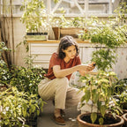 Fiskars Micro-Tip Rose Pruning Shears, 6" Garden Shears Non-Stick Coated Stainless Steel Blade, Gardening Scissors with SoftGrip Handle