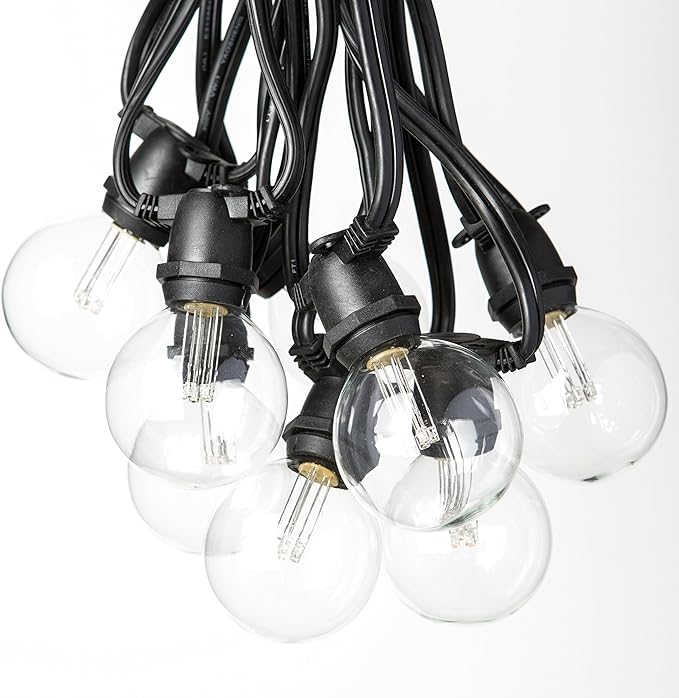 Hometown Evolution, Inc. 25 Foot C9 Commercial LED G50 Globe String Lights with 20 LED G50 Clear 2 Inch .6 Watt Bulbs and Black Wire