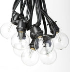 Hometown Evolution, Inc. 25 Foot C9 Commercial LED G50 Globe String Lights with 20 LED G50 Clear 2 Inch .6 Watt Bulbs and Black Wire