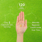 DEAL SUPPLEMENT CoQ10 200mg & PQQ 200mcg, 240 Veggie Capsules – 2 in 1 Coenzyme Q10 Supplement for Better Absorption – Antioxidant Support for Energy, Brain, & Heart Health – Non-GMO